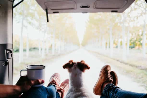 viaje autocaravana con perro